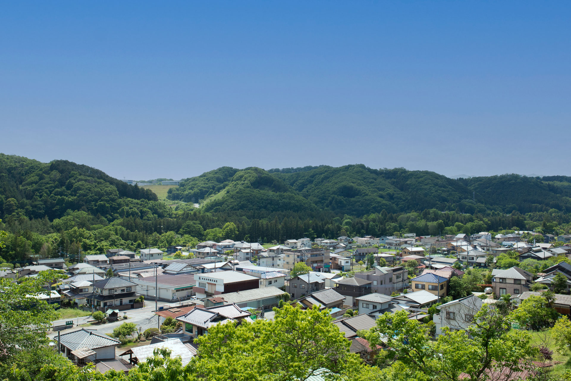 施設近郊の景色